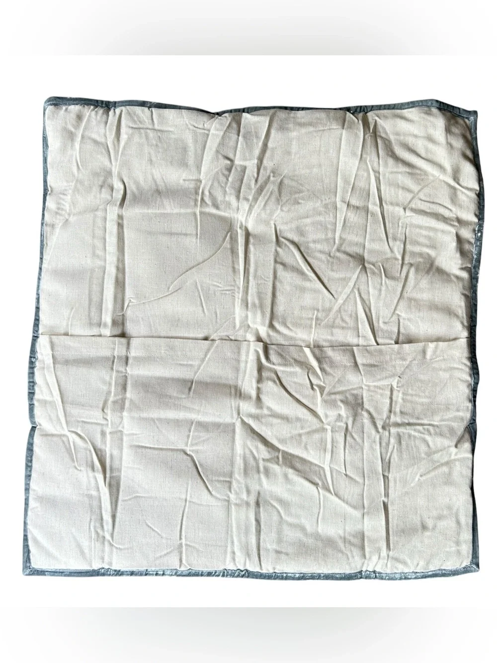 Crate & Barrel Juliet Light Blue Velvet Euro Shams